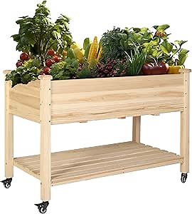 MUPATER 4x2FT Raised Garden Bed, Mobile Wood Planter Box with Four Wheels and Legs for Herbs and Vegetables, Elevated Garden Bed with Storage Shelf for Outdoor Indoor, Natural Wood