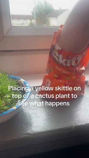 Comment nothing happened | skittle