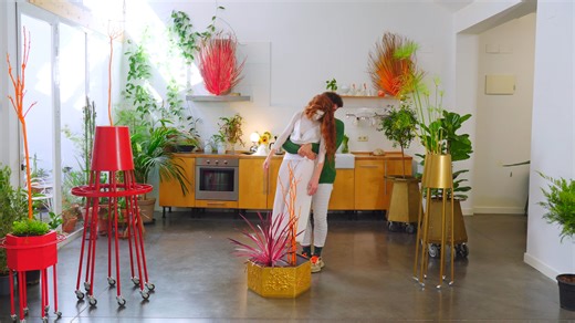 LOS VIKINGOS - WINNERS BIONIC FESTIVAL 2025