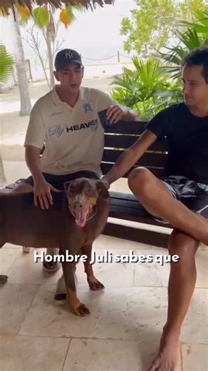 MIIA | Chip de Identificación Para Mascotas on Instagram: "Hay dudas que no pueden esperar. Y cuando se trata de tu mascota, menos. Con PetGuard, el plan de suscripción de MIIA, puedes escribirle a un veterinario 24/7 y recibir orientación justo cuando la necesitas. Sin citas, sin filas y sin quedarte con la preocupación toda la noche. Porque reaccionar a tiempo también es una forma de cuidarla. 👉 Activa PetGuard y acompaña su bienestar todos los días."