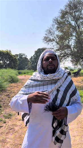 The Reality of Life: A Humorous Take