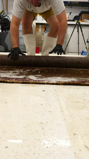 I call this the juicy rug stomp 😂 | Mountain Rug Cleaning