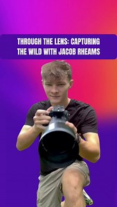 Wildlife Through a Master's Lens! 📸 THROUGH THE LENS: CAPTURING THE WILD WITH JACOB RHEAMS. His breathtaking photography brings the raw beauty and vulnerability of wildlife into sharp focus. What story do you think his images tell about our natural world? #JacobRheams #WildlifePhotography #NaturePhotography #Wildlife #Nature #Photography #Conservation #WildAnimals #ThroughTheLens #AmazingWildlife | Eyebiokin Kenny Peter