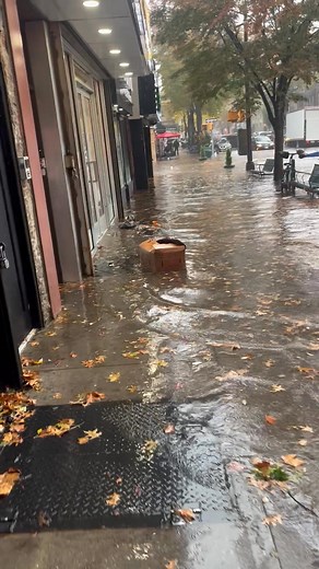 Flooding in Bay Ridge, Brooklyn from viewer Mike Charaf | See the latest on the storm here >> https://cbsloc.al/3Wwnsrq | CBS New York