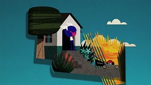 Animation: Go Everywhere