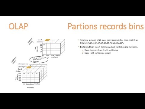 OLAP and Portion's records into no. of bins شرح