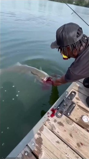 🎣 Monster Fish Catch of the Day! 😱 Biggest Fishing Moment Ever