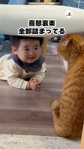 仲良くなりたかっただけなのに…｜PECO