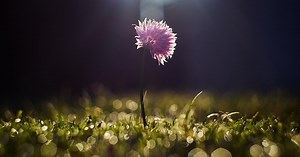 What Every Voice Actor Needs to Reinvigorate Their Brand