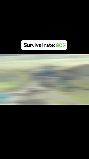 We’ve seen way worse here #besige #game #gamer #gaming #beamng #beamngdrive #beamngcrash #aviation #crash #pilot