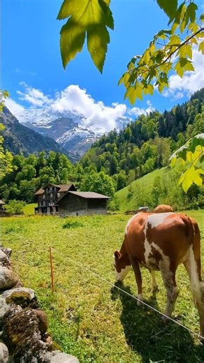 Beautiful Switzerland 🇨🇭