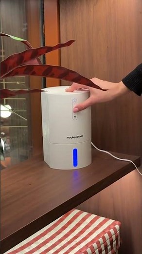 Why your home needs this - especially in winter ❄️ #dehumidifier