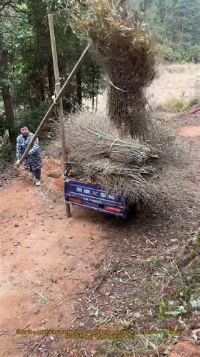Lever Hack: Lifting Heavy Hay Bales With a Simple Pole 💪