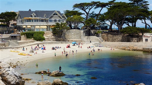 Search ends for Monterey County swimmer after suspected shark attack