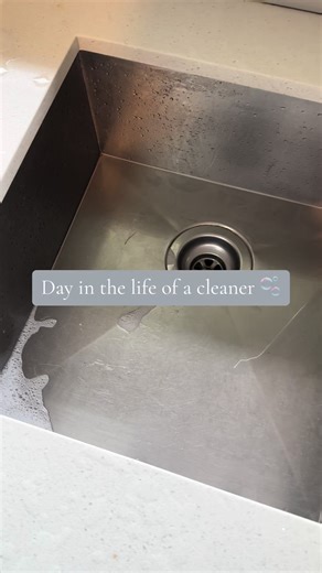 Professional House Cleaning Routine Revealed