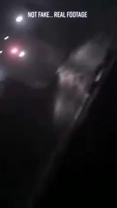 “TR3 Black Manta or UFO? 🤔🛸 #tr3blackmanta #UFO #secretcraft #MilitaryTechnology #unidentifiedflyingobject #TR3B #aerialview #ufosighting #coverttech #mystery #blackmanta #ufology #advanceddesign #extraterrestrial #technology 🌐 Our Website! : https://extrahumans.com/ 🖼️🛍️ Explore our online Artist Shop! 🌟 https://www.redbubble.com/people/eXtraHumans/shop?asc=u 🛸 Check out our Alien Gifts And Merchandise intro page! ✨ https://extrahumans.com/shop-alien-gifts/ | eXtraHumans