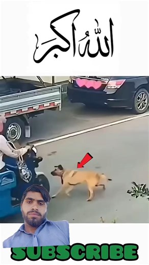 جس ذات کا قران میں ذکر نبی ہے وہ میرا نبی میرا نبی ہے #islamic#allah#islamicstatu #status#monitizati