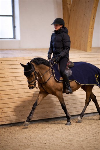 Nairo: 12-årig Dressyrhäst till Salu