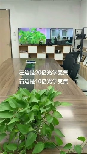 PTZ cameras with 10× vs. 20× optical zoom