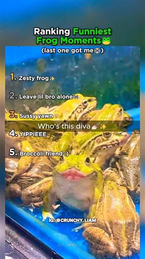 Top 5 Goofy Frogs That Made Us Laugh!