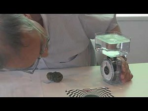 いろいろなものの体積を測る ～アルキメデスの原理～
