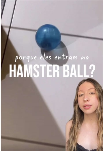 Fiz esse vídeo explicativo porque muitas pessoas ficaram com dúvida sobre esse comportamento. . Sobre as fontes, não consegui anexar os links aqui, mas vocês podem checar na Veterinary Association for Animal Welfare e RSPCA (Royal Society for the Prevention of Cruelty to Animals) . #hamster #hansters #pet #animaldeestimação #hamsterball