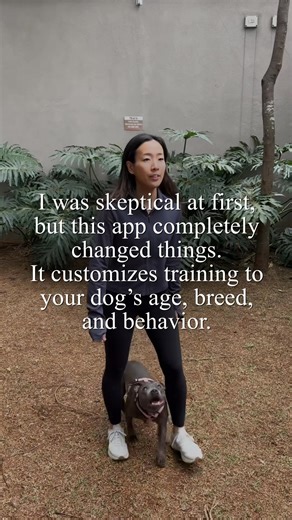 Start training your dog with the Best Dog Training App in the World!  | Dog Training Academy | Facebook