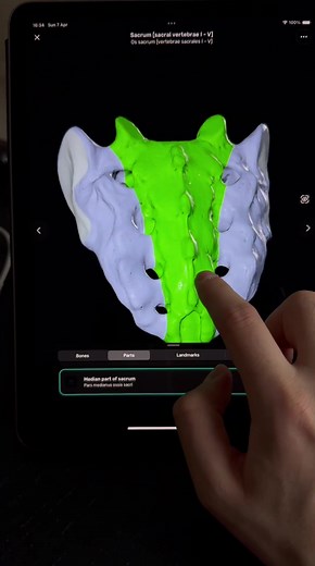 Explore the Best 3D Atlas of Human Anatomy