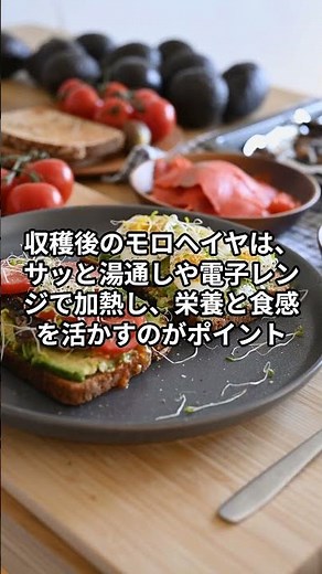 節約しながら夏バテ対策！コスパ抜群モロヘイヤの栽培方法完全ガイド #農業 #家庭菜園 #再生栽培