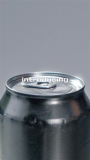 introducing the ricco rogue | alexander wang