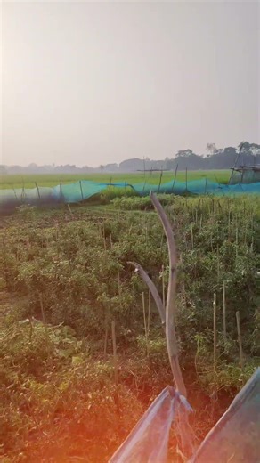 নিজের গল্পটা নিজেই লিখুন, যাতে শেষটা হয় রাজকীয়। #reelschallenge #BanglaCaption #Motivation #reels