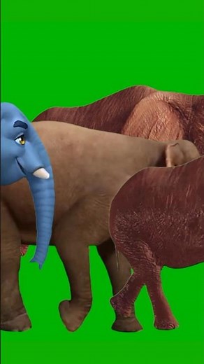 Elephant Green Screen | Jumanji Stampede | Animal Running Walking Green Screen #animalsound #viral