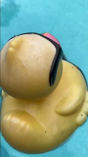 Aiper Scuba S1 Pro: The Ultimate Pool Cleaning Solution! 💦🏊‍♂️