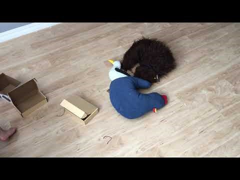 How To Set Up Wuloo Intercoms Wireless for Home