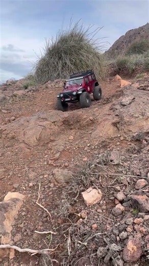 Cuando el sherpa pro entra en escena 😮‍🔥