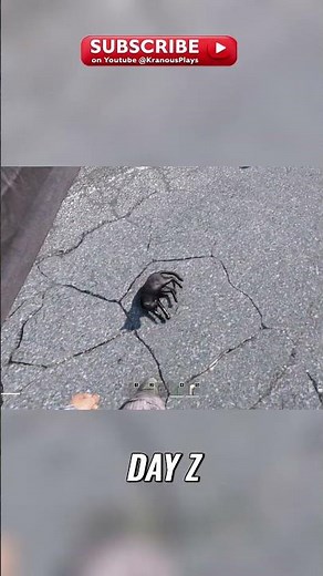 DayZ PC Upgrade From Mod to Phenomenon & Suffering!