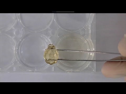 Tissue clearing protocol for CUBIC reagents