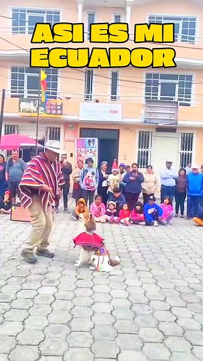 4.5M views · 62K reactions | ASI ES MI ECUADOR #seguidores #EstoEsEcuador #VocesDeMiTierra #ecuador #promocionesydescuentos #VivaQuito | Máxima Energía | Facebook