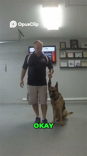 Dog Training Secrets Positive Reinforcement Explained