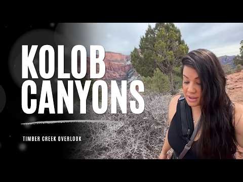 don't skip this short hike in kolob canyons!