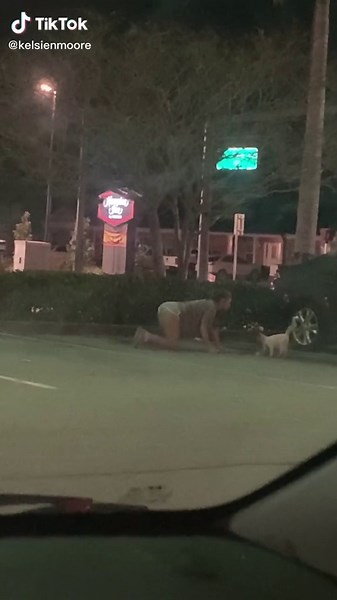 POV you’re my bf watching me steal my 3rd parking lot stray of the week #fyp #FindYourCore #fypシ #catsoftiktok