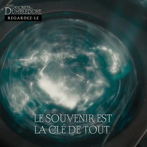 #LesSecretsdeDumbledore est maintenant disponible en Digital, en DVD, Blu-Ray, 4K UHD. | Warner Bros. Pictures
