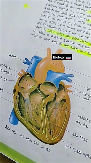 Biology diagrams #biology #diagrams #video #shorts
