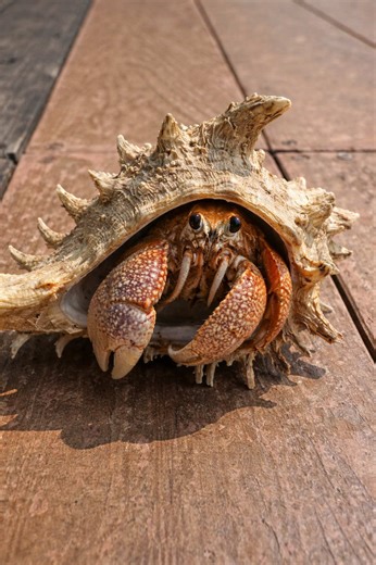 Unbelievable Fishing Experience in Cambodia