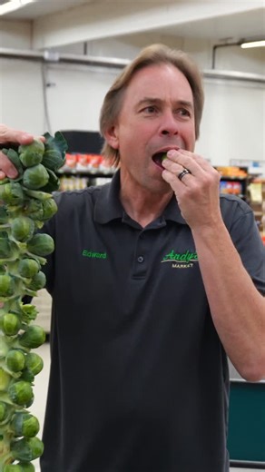 Andy's Market - Local Produce, Bulk, & Whole Foods Market on Instagram: "Brussel sprouts on the stalk ✨ A true winter staple, harvested fresh and full of flavor, this crop is one of our favorites to bring into our Produce Department each year! Keeping the sprouts on the stalk helps lock in sweetness and freshness, making them perfect for roasting, shaving into salads, or adding to your holiday table. A specialty crop that’s as beautiful as it is delicious, find them for a limited time right here