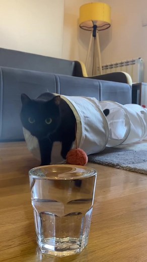 Drink Water Reminder: Don't Forget to Stay Hydrated Today