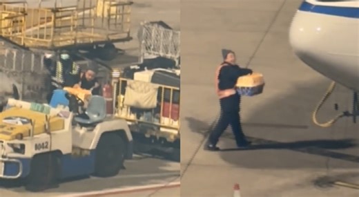 女子第一次托运猫咪，不时张望担心情况，地勤温柔搬运还挥手示意