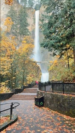 Multnomah Falls Draped in Autumn Gold | Oregon’s Most Beautiful Waterfall | Best Fall View