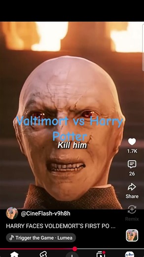 Harry Potter Valtimort vs Harry Potter