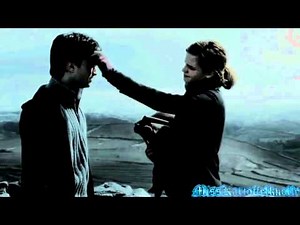 Harry & Hermione Tribute